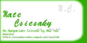 mate csicsaky business card